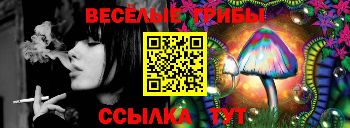 Псилоцибиновые грибы Cubensis Ипатово