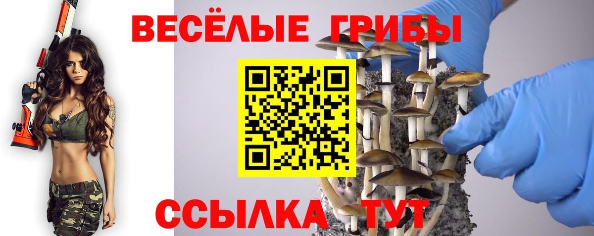 Галлюциногенные грибы ЛСД  где купить наркоту  Галлюциногенные грибы Psilocybe  Ипатово  Вход с VPN 